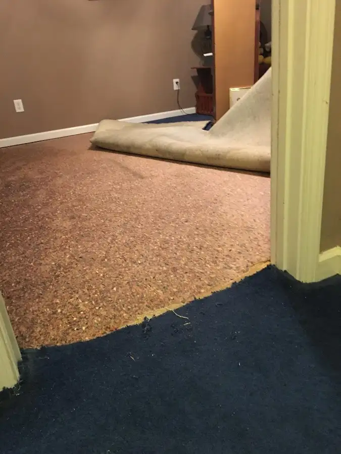 Carpet pad removal revealing water damage during Drying & Dehumidification in Fairhaven