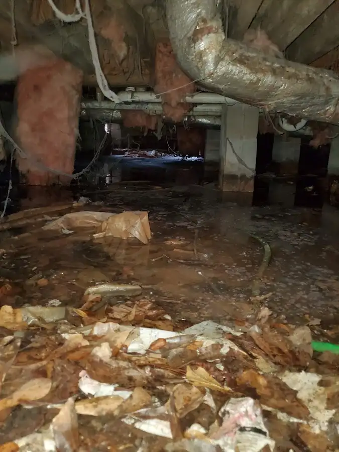 Crawl space flood assessment for Commercial Water Damage Restoration in Fairhaven